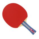 RAQ. MAGIC LIGHT BOOST X9 1.9