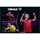 0680111 - Poster Alexis LEBRUN A0