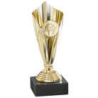 0790053 - COUPE 15 cm PHOTO Q53