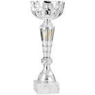 0790112 - COUPE 19 cm PHOTO S12